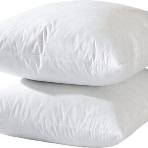(3) Loring Home Goose Feather Pillow Inserts Set of 3 20x20
